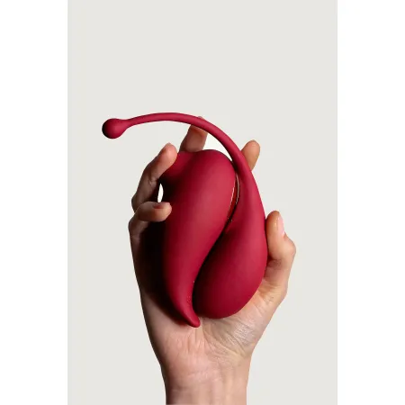 sextoys connecté