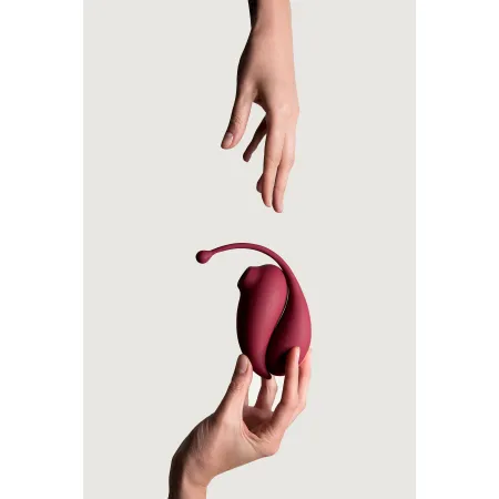sextoys connecté