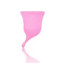 Eve : coupe menstruelle