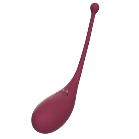 sextoys connecté