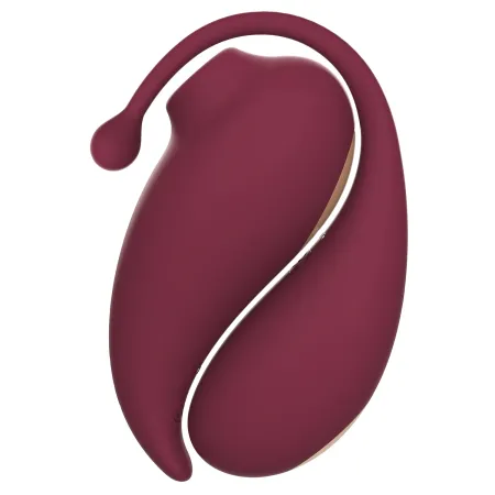 sextoys connecté