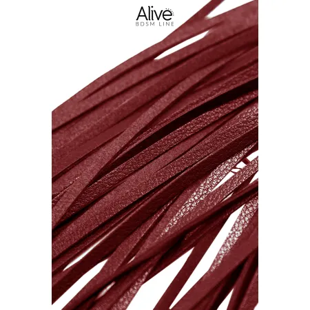 Fouet rouge