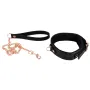 Collier laisse métal doré