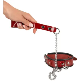 Collier et laisse rouge
