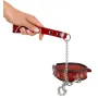 Collier et laisse rouge
