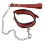 Collier et laisse rouge