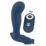 Plug anal vibrant