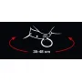 Set collier et laisse