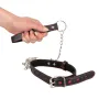 Set collier et laisse