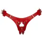 Harnais strap on