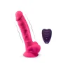 Model 1 – 8" Vibrating + LRS | Silexd