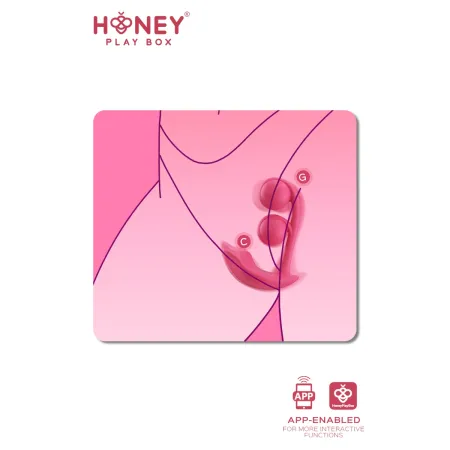 Melody Stimulateur Point G 2 billes et clitoris connecté smartphone USB