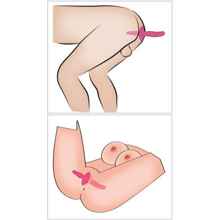 2in1 Vibrator + Butt Plug