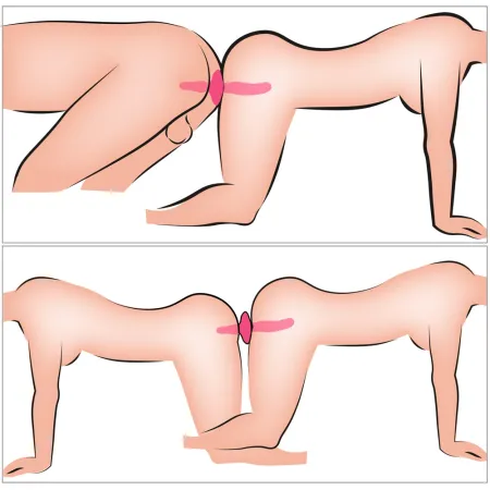 2in1 Vibrator + Butt Plug