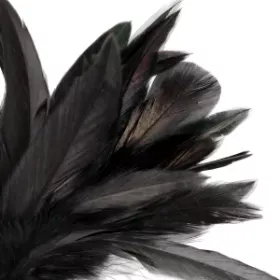 Petit plumeau noir 20cm